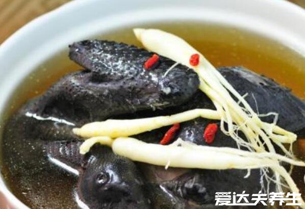 乌鸡汤怎么炖最有营养，活鸡冷冻后在制作(五种制作小技巧)